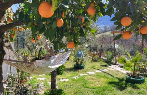 Pico Bed & Breakfast | Antichisaporidicasa