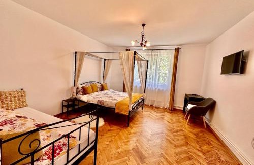 Sighisoara House | Anton Pann House - Entire house below the citadel