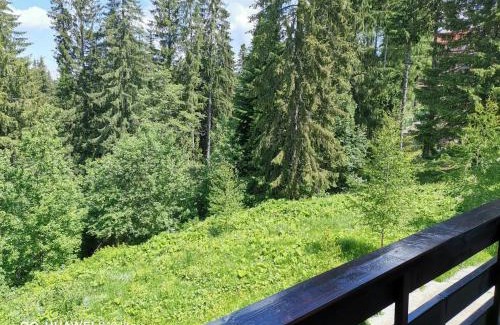 Cioplea Apartment | Antonia, Apartament Predeal