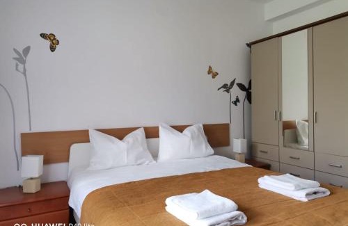Cioplea Apartment | Antonia, Apartament Predeal