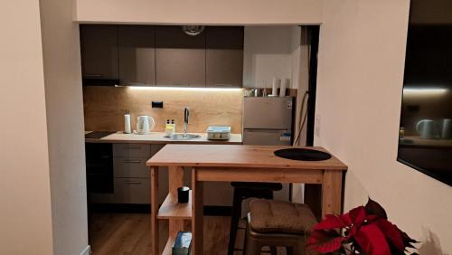 Vinkovci Apartment | aoatment19