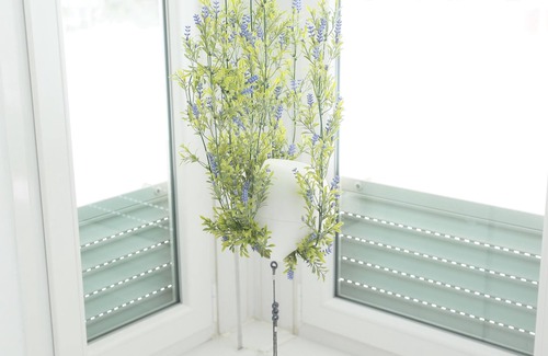 Las Palmas de Gran Canaria Apartment | Apartment Paya Las Canteras Las Palmas