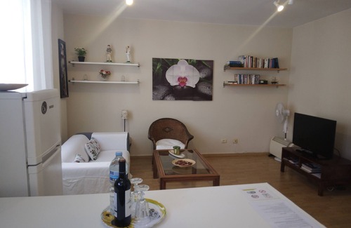 Historical Center Apartment | APARTMENT OSSUNA (LA LAGUNA-CENTRO)