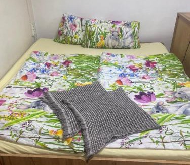 Banska Bystrica Apartment | Aparmánový byt v centre Banskej Bystrice & free parking