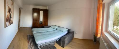 Satu Mare Apartment | Apart Deby