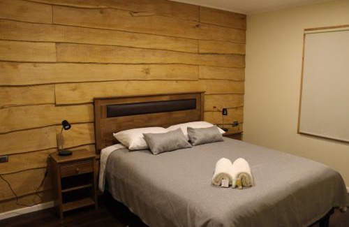 Puerto Rio Tranquilo Apartment | APART HOME COSTANERA