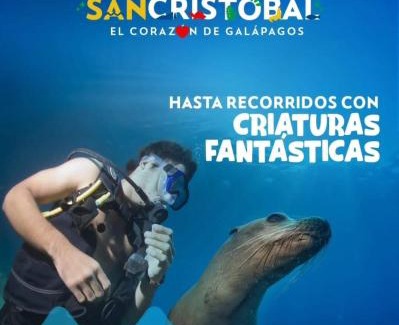 Puerto Baquerizo Moreno Apartment | Apartamento Top House