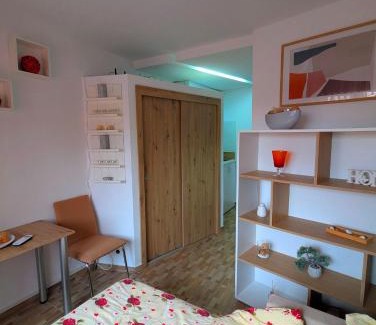 Timisoara Apartment | Apartament 1 camera modern la 5 minute de Iulius Town
