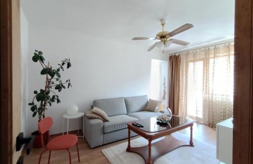 Baile Herculane Apartment | Apartament 14