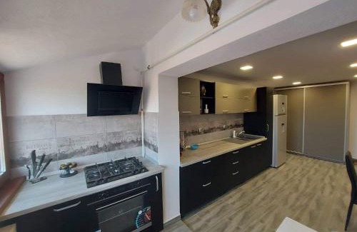 Blaj Apartment | Apartament Blaj