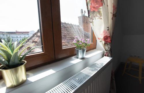 Center Apartment | Apartament Central Deal