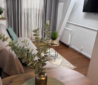 Olsztyn Apartment | Apartament Centrum SIGMA