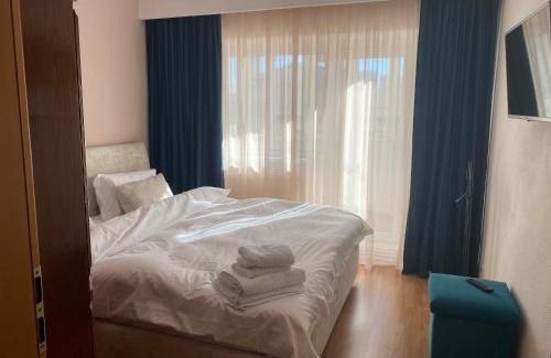 Baia Mare Apartment | Apartament Cozma