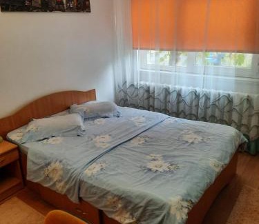 Alba Iulia Apartment | Apartament Del Dodo