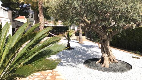 Alcanar Apartment | Apartamentos Playa D y G