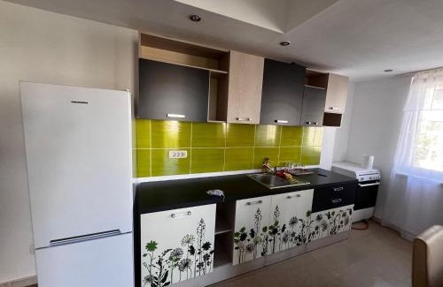 Oradea Apartment | Apartament Flammarion