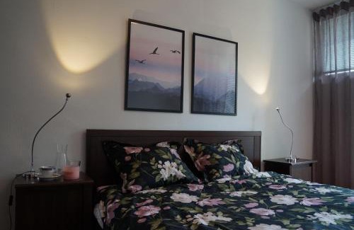 Gliwice Apartment | Apartament Gliwice Centrum Dunikowskiego z garażem