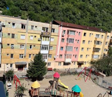 Baile Herculane Apartment | Apartament Herculane cu vedere la munte