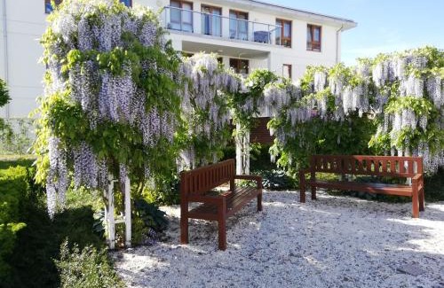 Pogorze Apartment | Apartament Jaśminowy Shiraz Gdynia
