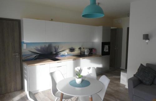 Sianozety Apartment | Apartament Nika Pool&SPA 5mórz