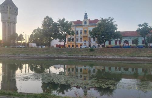 Timisoara Apartment | Apartament pe malul raului Bega