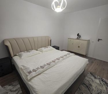 Vladeni Apartment | Apartament Rosenau