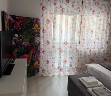 Petrosani Apartment | Apartament Sofi