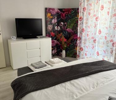 Petrosani Apartment | Apartament Sofi