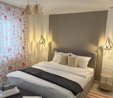 Petrosani Apartment | Apartament Sofi