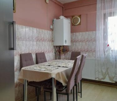 Lupeni Apartment | Apartament Straja - (Lupeni)