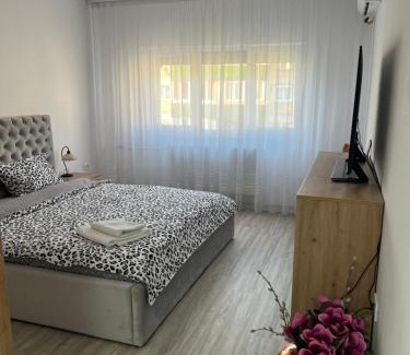 Oradea Apartment | Apartament Tudor
