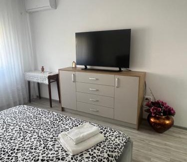 Oradea Apartment | Apartament Tudor