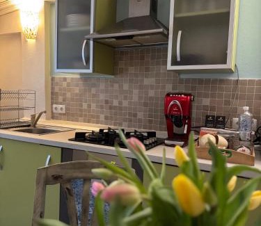 Sighisoara Apartment | Apartament Ultra Central