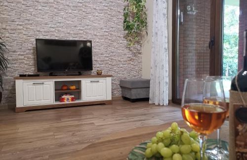 Ostroda Apartment | Apartament Willa Port "Kaczorek"