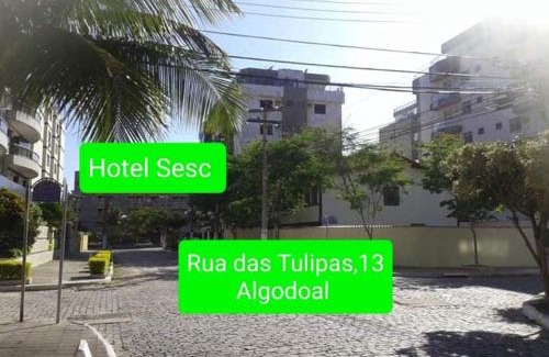 Algodoal Apartment | Apartamento