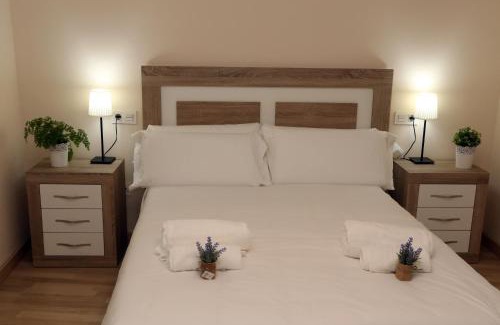 Arrabal Apartment | Apartamento turisticos Puente Romano P3 1-A