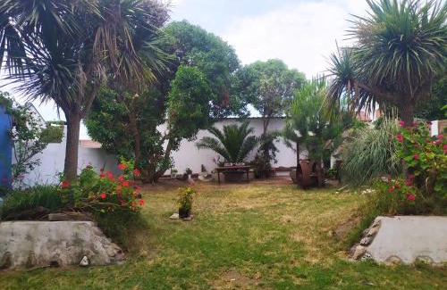 Santa Clara del Mar Apartment | Apartamentos Piolón-Piolón