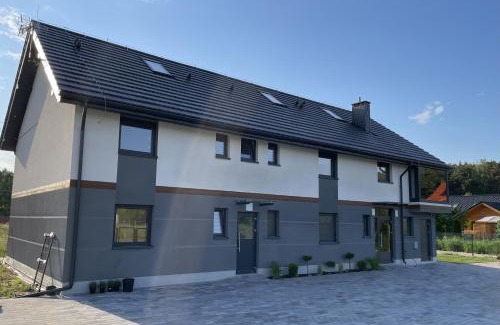 Orlinki Apartment | Apartamenty u Gosi