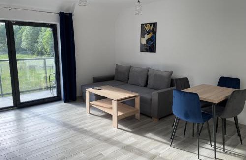 Orlinki Apartment | Apartamenty u Gosi