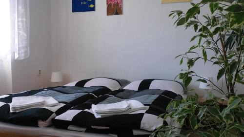 Zdar Nad Sazavou Apartment | Apartmán Žďár