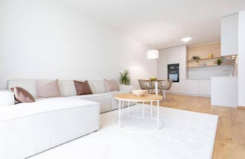 Kosice Old Town Apartment | Apartmán Al-Garden s private garage parking free, 5 min pešo do centra