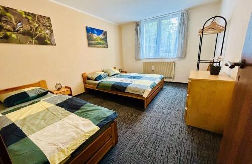 Golcuv Jenikov Apartment | Apartmán Amy - Kvilda