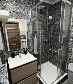 Trencin Apartment | Apartmán BSS