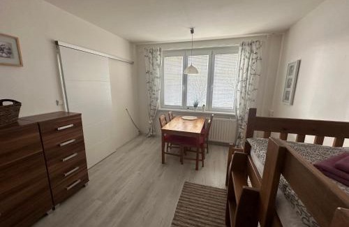 Kovarska Apartment | Apartmán Kovářská u Klínovce
