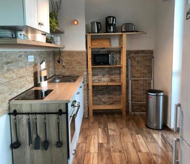 Orlicke Zahori Apartment | Apartmán Orlické Záhoří