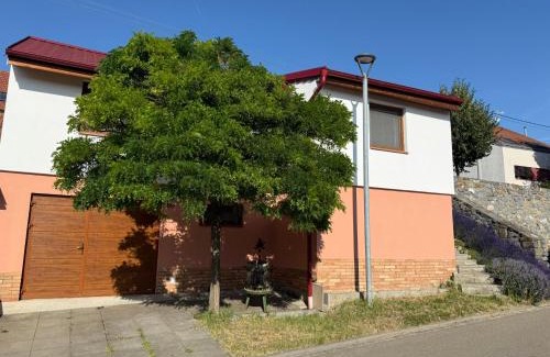 Hustopece Apartment | Apartmán Pavlenka