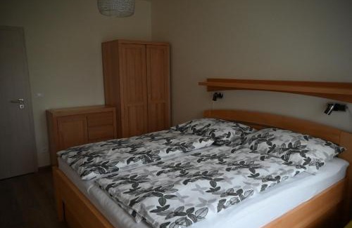 Ricky v Orlickych horach Apartment | Apartmán PERLA 28, Říčky