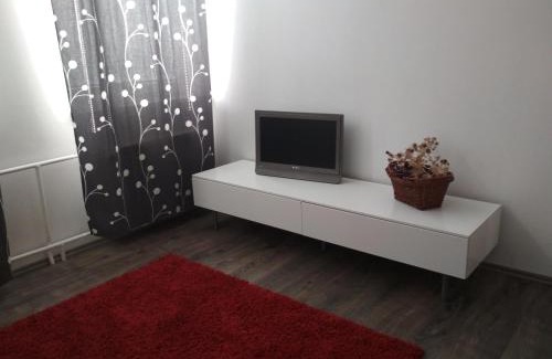 Pernink Apartment | Apartmán Pernink - ubytování v srdci Krušných hor