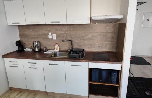 Liptovsky Mikulas Apartment | Apartmán