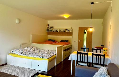 Ricky v Orlickych horach Apartment | Apartmán u Tesáka - Říčky v Orlických horách